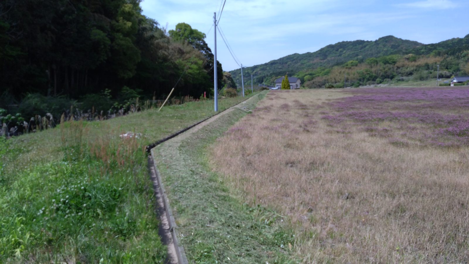 柳井市の田んぼの畦道草刈り-施工後２